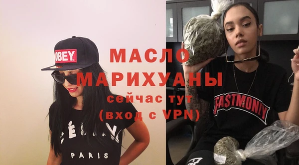 молекула духа Вяземский