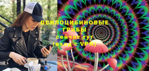 гашик Волоколамск