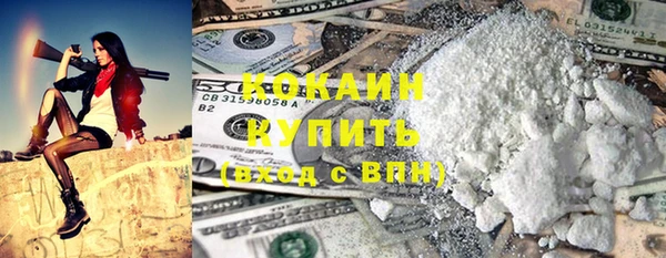 шишки Володарск