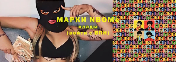 стаф Тайга