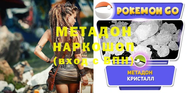 стаф Тайга