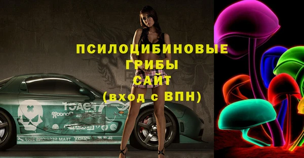шишки Володарск