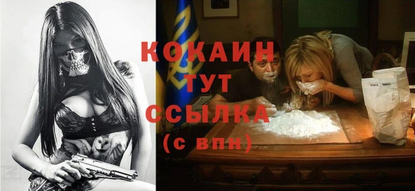 молекула духа Вяземский