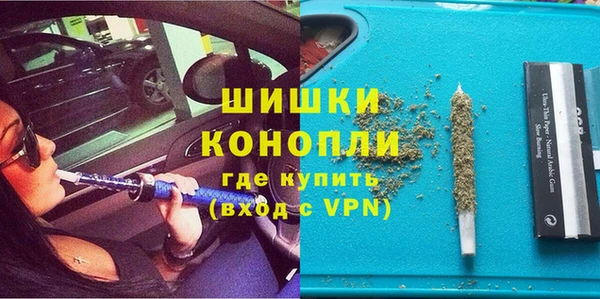 шишки Володарск