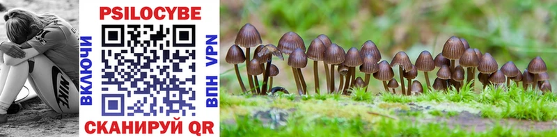 как найти закладки  Ермолино  Псилоцибиновые грибы GOLDEN TEACHER 